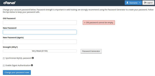 Paper Lantern Theme, Changing password